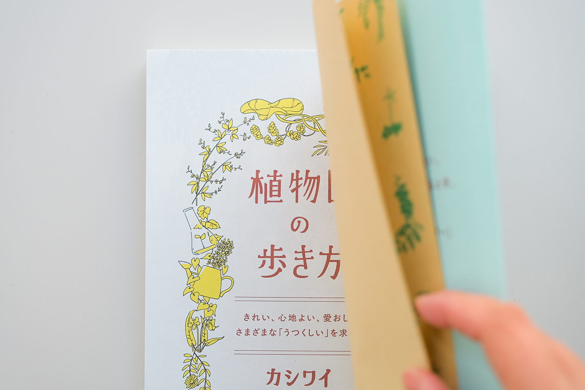 ��ʪ����⤭��